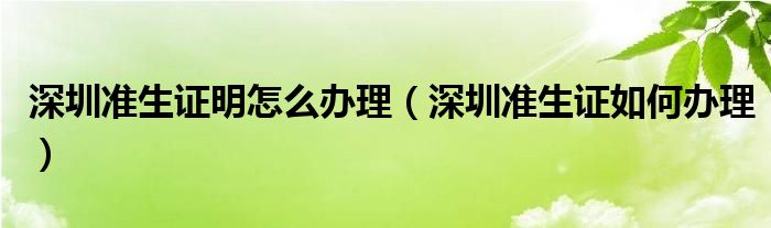 深圳准生证明怎么办理（深圳准生证如何办理）