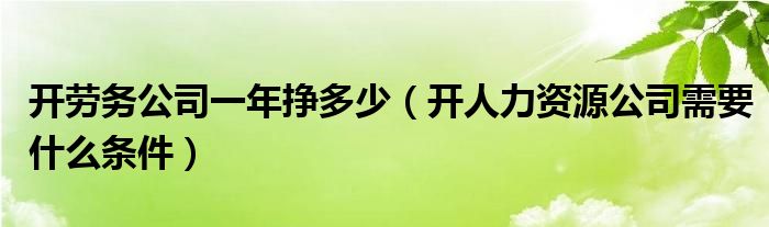 开劳务公司一年挣多少（开人力资源公司需要什么条件）