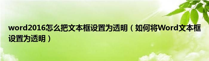 word2016怎么把文本框设置为透明（如何将Word文本框设置为透明）