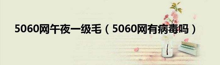 5060网午夜一级毛（5060网有病毒吗）