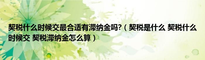 契税什么时候交最合适有滞纳金吗?（契税是什么 契税什么时候交 契税滞纳金怎么算）