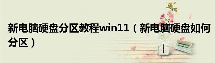 新电脑硬盘分区教程win11（新电脑硬盘如何分区）