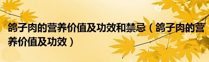 鸽子肉的营养价值及功效和禁忌（鸽子肉的营养价值及功效）