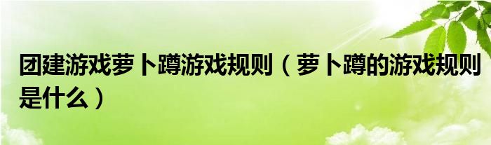 团建游戏萝卜蹲游戏规则（萝卜蹲的游戏规则是什么）