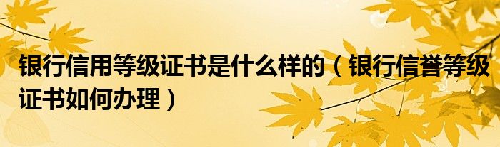 银行信用等级证书是什么样的（银行信誉等级证书如何办理）