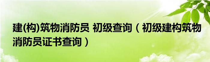 建(构)筑物消防员 初级查询（初级建构筑物消防员证书查询）