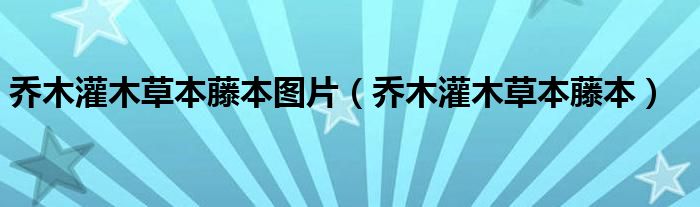 乔木灌木草本藤本图片（乔木灌木草本藤本）