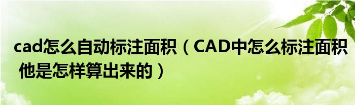 cad怎么自动标注面积（CAD中怎么标注面积 他是怎样算出来的）