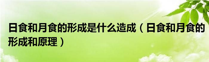 日食和月食的形成是什么造成（日食和月食的形成和原理）