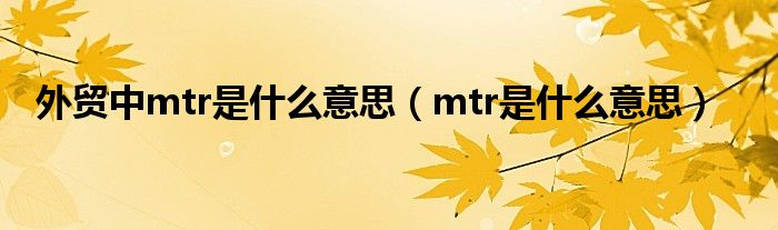 外贸中mtr是什么意思（mtr是什么意思）