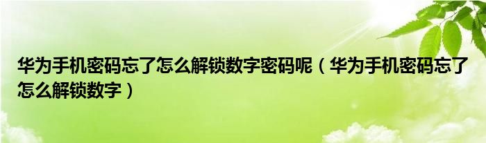 华为手机密码忘了怎么解锁数字密码呢（华为手机密码忘了怎么解锁数字）