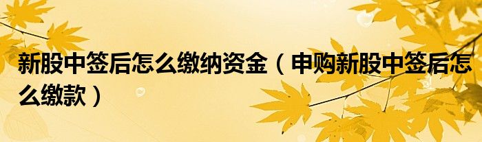 新股中签后怎么缴纳资金（申购新股中签后怎么缴款）