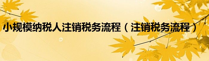 小规模纳税人注销税务流程（注销税务流程）