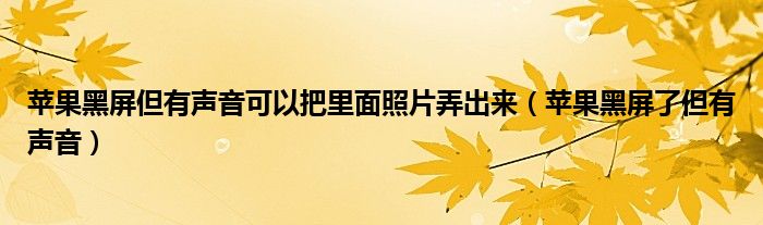 苹果黑屏但有声音可以把里面照片弄出来（苹果黑屏了但有声音）