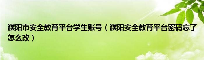 濮阳市安全教育平台学生账号（濮阳安全教育平台密码忘了怎么改）