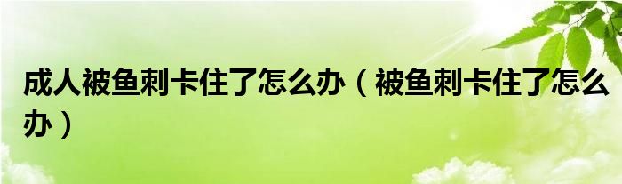 成人被鱼刺卡住了怎么办（被鱼刺卡住了怎么办）