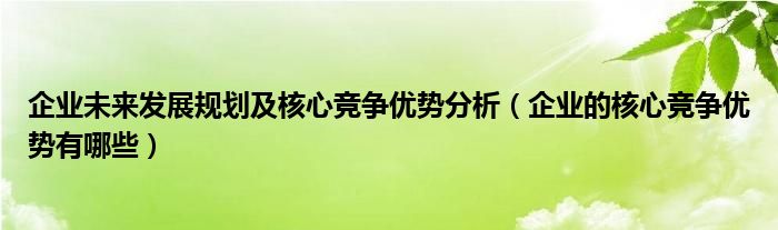 企业未来发展规划及核心竞争优势分析（企业的核心竞争优势有哪些）