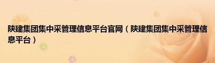 陕建集团集中采管理信息平台官网（陕建集团集中采管理信息平台）