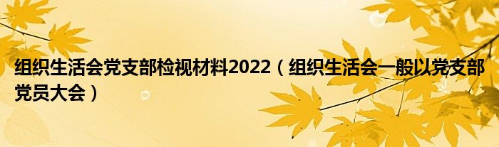 组织生活会党支部检视材料2022（组织生活会一般以党支部党员大会）