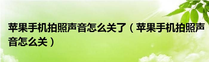 苹果手机拍照声音怎么关了（苹果手机拍照声音怎么关）