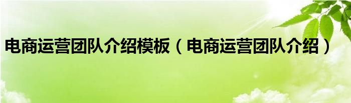 电商运营团队介绍模板（电商运营团队介绍）