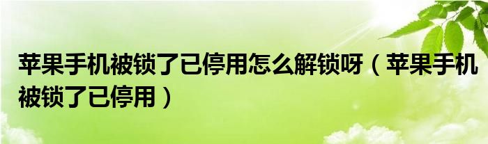 苹果手机被锁了已停用怎么解锁呀（苹果手机被锁了已停用）