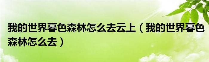 我的世界暮色森林怎么去云上（我的世界暮色森林怎么去）