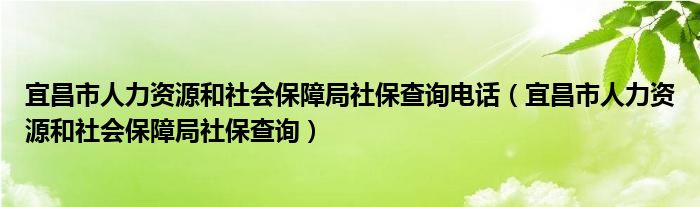 宜昌市人力资源和社会保障局社保查询电话（宜昌市人力资源和社会保障局社保查询）