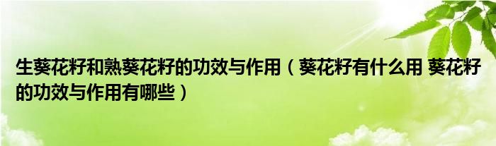 生葵花籽和熟葵花籽的功效与作用（葵花籽有什么用 葵花籽的功效与作用有哪些）