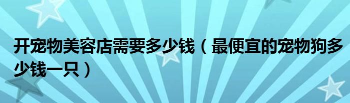 开宠物美容店需要多少钱（最便宜的宠物狗多少钱一只）