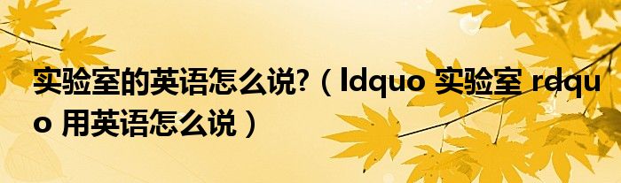 实验室的英语怎么说?（ldquo 实验室 rdquo 用英语怎么说）