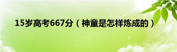 15岁高考667分（神童是怎样炼成的）