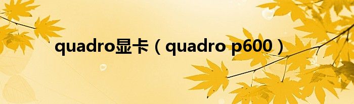 quadro显卡（quadro p600）