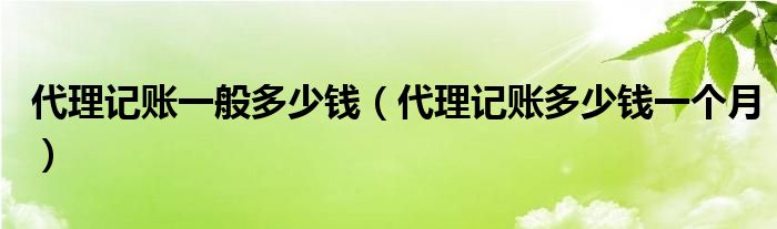 代理记账一般多少钱（代理记账多少钱一个月）