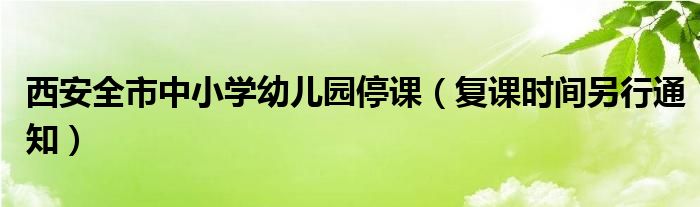 西安全市中小学幼儿园停课（复课时间另行通知）