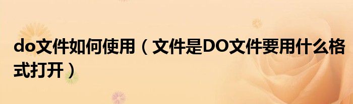 do文件如何使用（文件是DO文件要用什么格式打开）