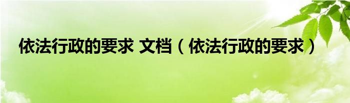 依法行政的要求 文档（依法行政的要求）