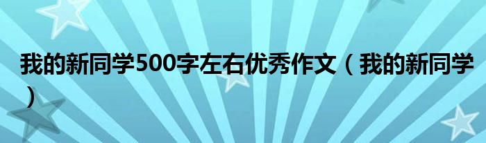 我的新同学500字左右优秀作文（我的新同学）