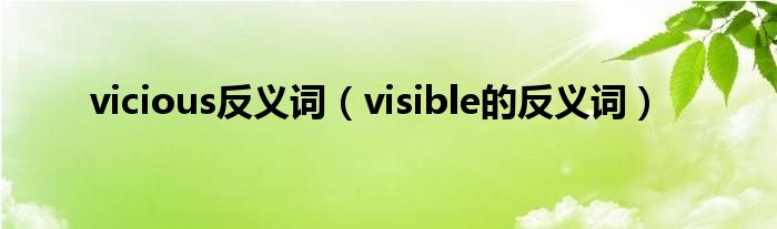 vicious反义词（visible的反义词）