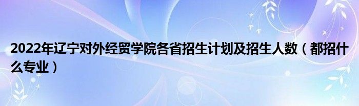 2022年辽宁对外经贸学院各省招生计划及招生人数（都招什么专业）