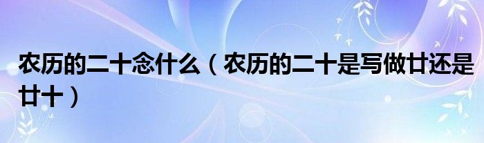 农历的二十念什么（农历的二十是写做廿还是廿十）