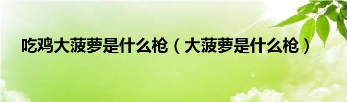 吃鸡大菠萝是什么枪（大菠萝是什么枪）