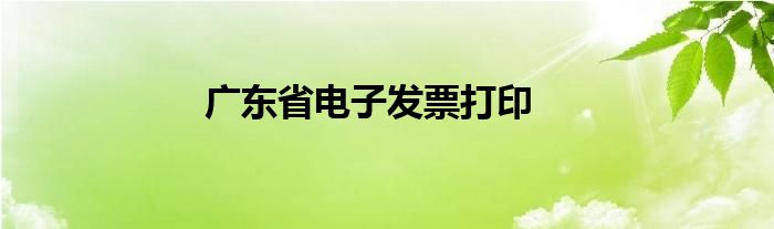 广东省电子发票打印