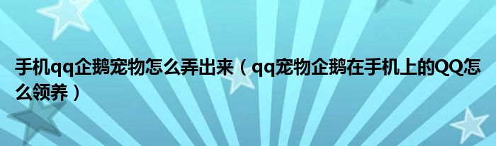 手机qq企鹅宠物怎么弄出来（qq宠物企鹅在手机上的QQ怎么领养）