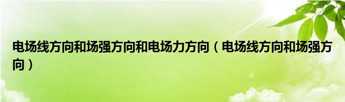 电场线方向和场强方向和电场力方向（电场线方向和场强方向）