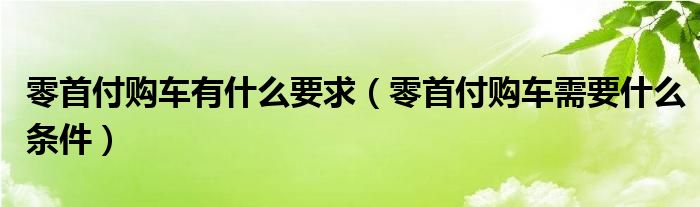 零首付购车有什么要求（零首付购车需要什么条件）