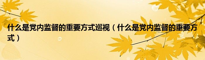 什么是党内监督的重要方式巡视（什么是党内监督的重要方式）