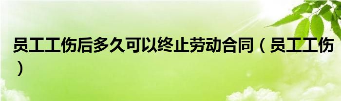 员工工伤后多久可以终止劳动合同（员工工伤）