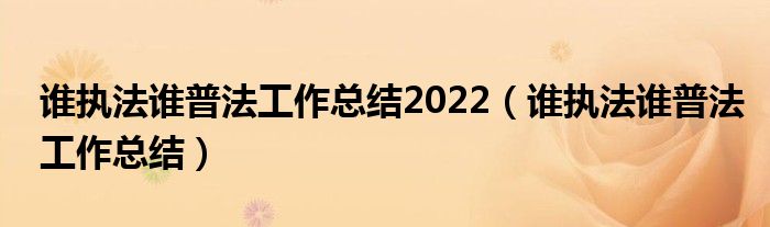 谁执法谁普法工作总结2022（谁执法谁普法工作总结）