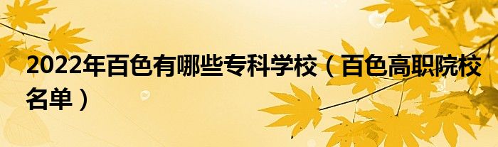 2022年百色有哪些专科学校（百色高职院校名单）